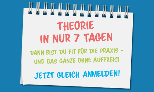 Theorie in 7 Tagen